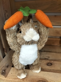Bunny with carrots