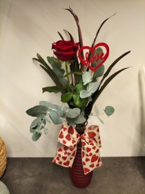 Red rose in a vase