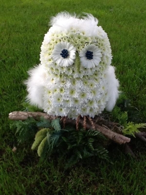 Owl funeral tribute