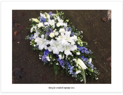 Single Ended Spray  White and Blue