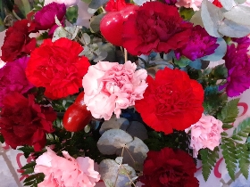 Hearts and carnations