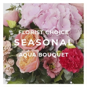 Florist Choice Seasonal Aqua