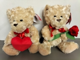 Valentines teddy
