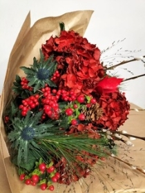 Christmas reds
