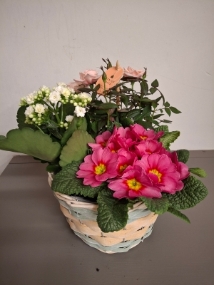 Mother’s Day planter